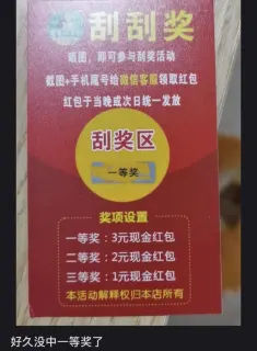 甘芸芸