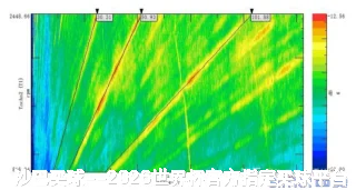 卢浅伽
